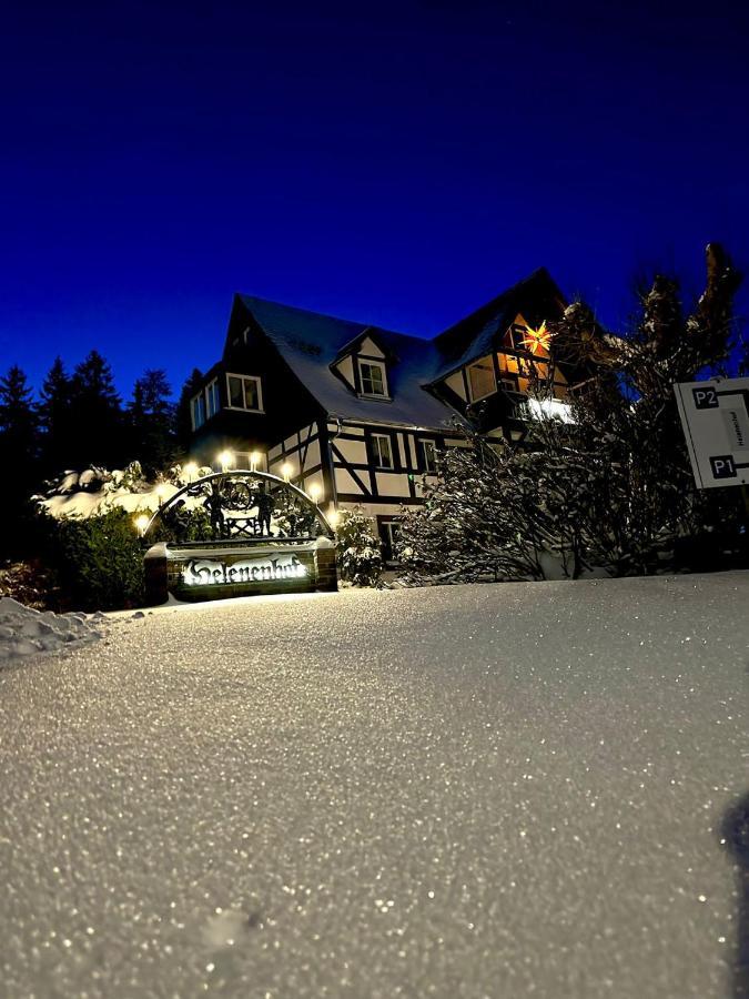Helenenhof Otel Altenberg  Dış mekan fotoğraf